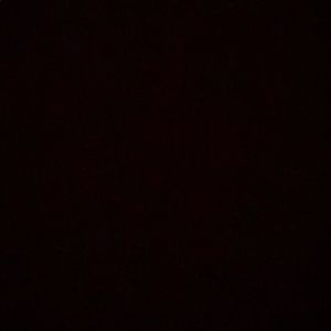 Meet your Posher, Sofia